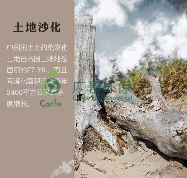 世界地球日 我們能為地球做些什么？(圖4)