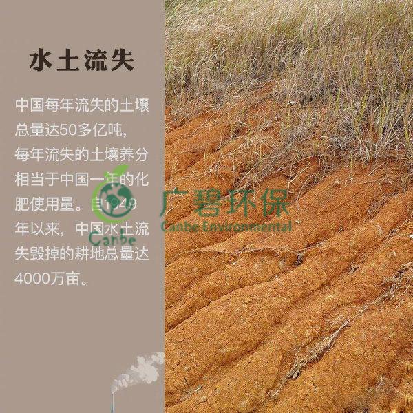 世界地球日 我們能為地球做些什么？(圖7)