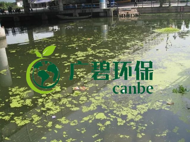 城市黑臭河道如何治理？河道黑臭水體治理思路(圖3)