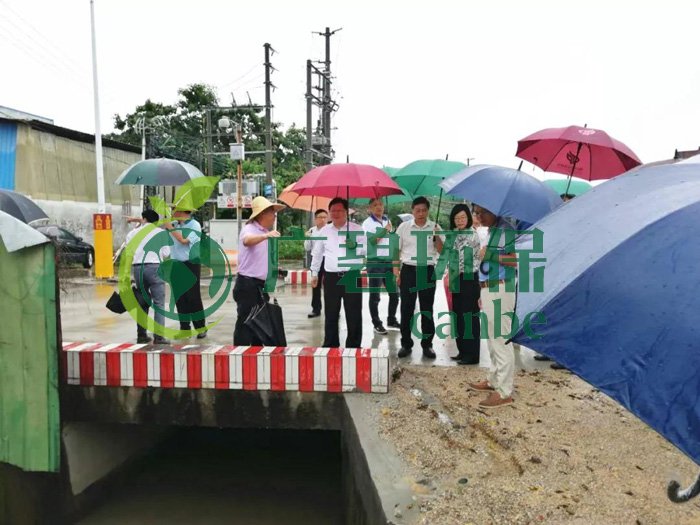 佛山推進(jìn)水污染防治問題整改，虛假整改將被問責(zé)！(圖2)