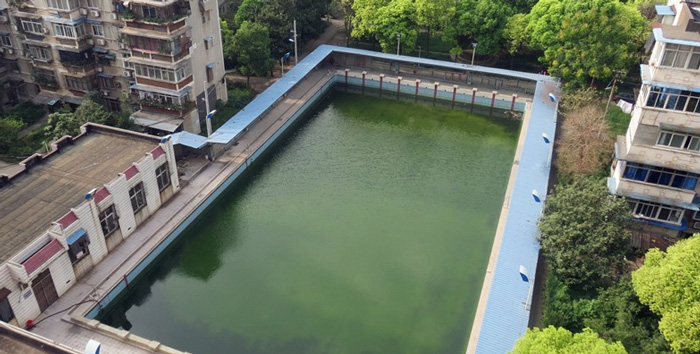 游泳池水變綠是什么原因？游泳池水處理方法