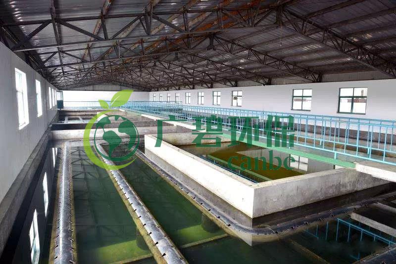 什么是制糖廢水？制糖廢水處理技術(shù)(圖1)