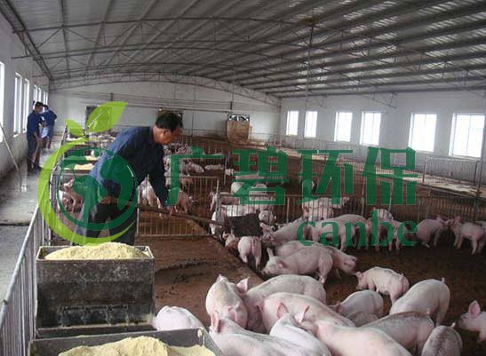 什么是養(yǎng)殖廢水？養(yǎng)殖廢水處理工藝(圖1)