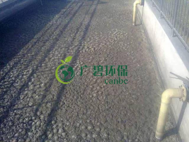 污泥發(fā)黑是什么原因造成？污泥發(fā)黑經(jīng)驗分享(圖1)