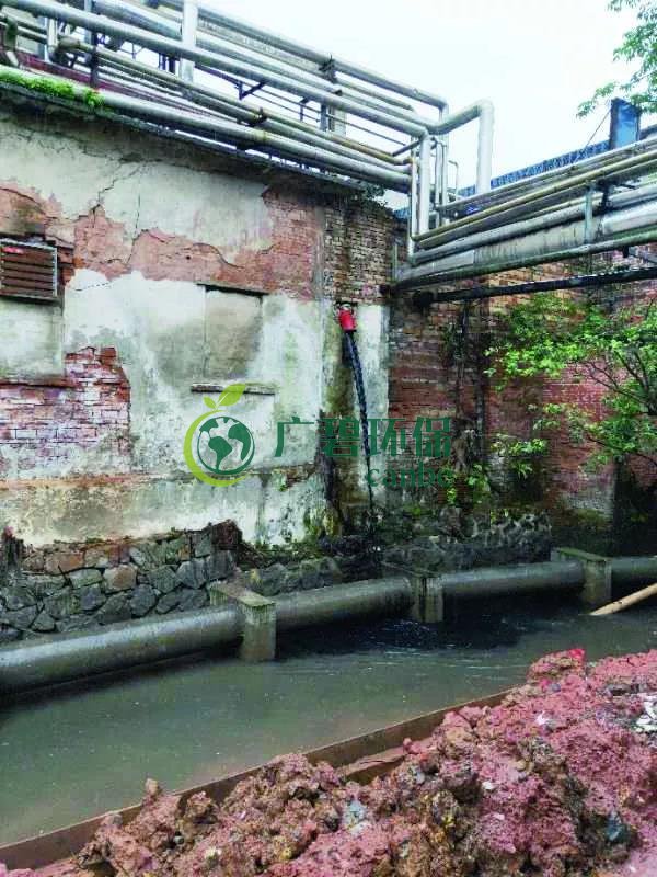 廣州海珠有污水直排河涌，3名涉案人員被行政拘留(圖1)