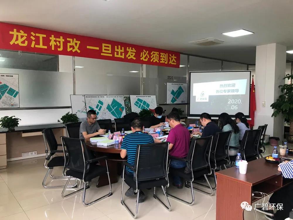 廣碧環(huán)?！洱埥?zhèn)坦西工業(yè)區(qū)地塊土壤污染狀況調(diào)查報告》通過評審
