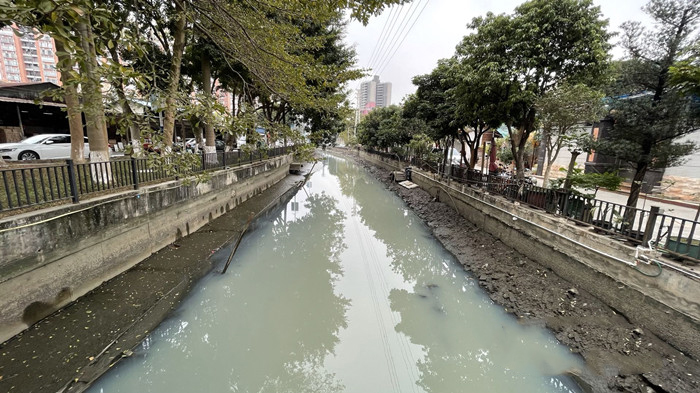 順德大良石洛涌、八坊涌整治見成效(圖3)
